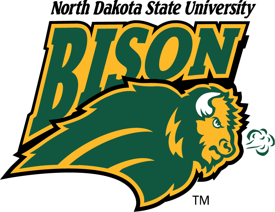 North Dakota State Bison 1999-2012 Alternate Logo diy DTF decal sticker